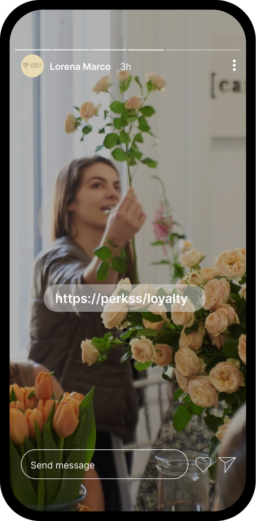 Imagen del carrusel 4